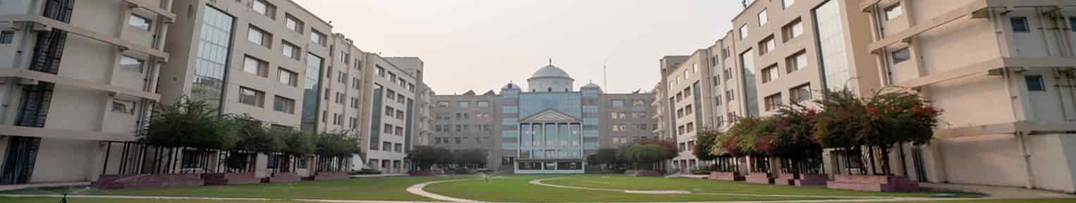 KR Mangalam University