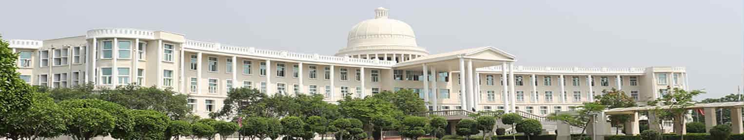 Noida International University  NIU