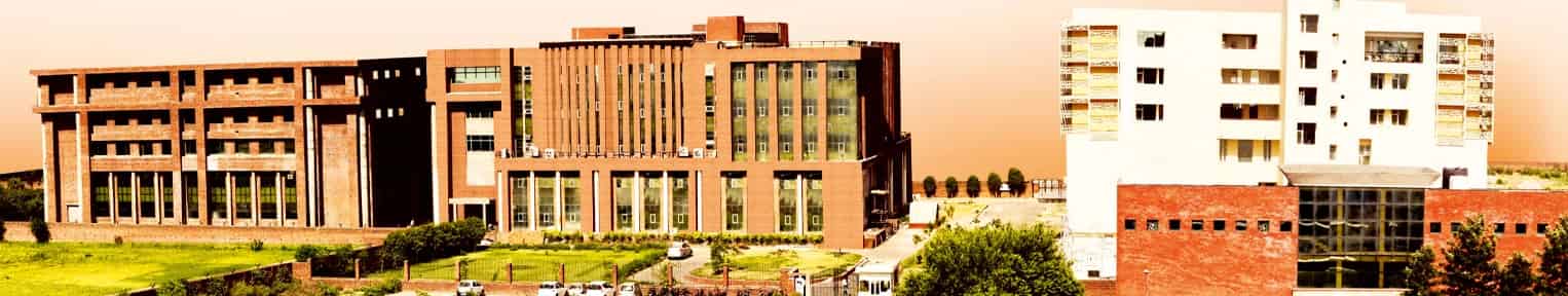 Admission 2026, Courses, Fees, Placement