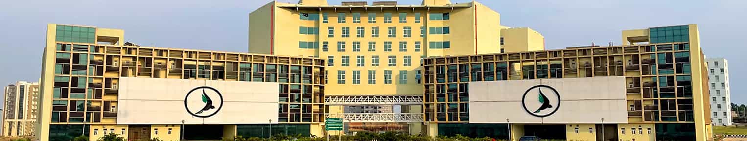 Admission 2025, Cutoff, Courses, Fees, Placement, Ranking