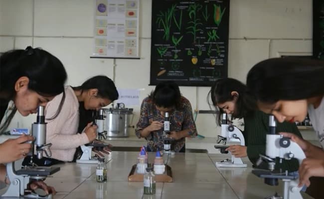 2-0007-lab-lab