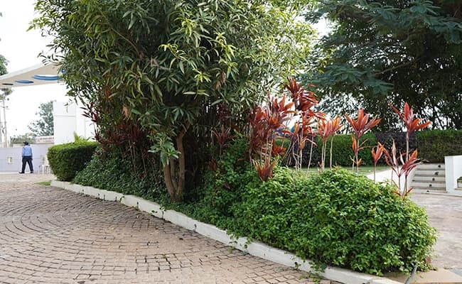 IIBS Bangalore Gallery 25.webp
