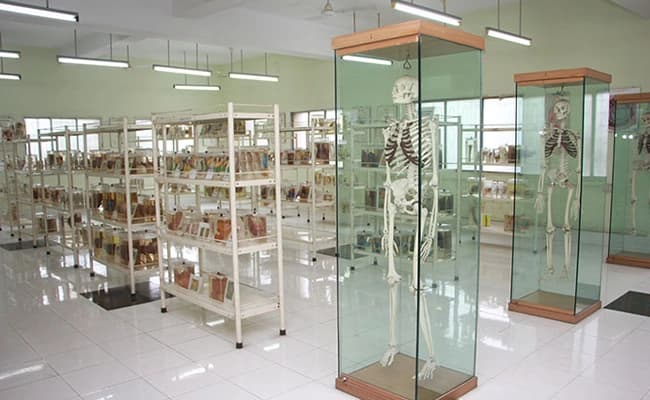 labs-1-labs-37