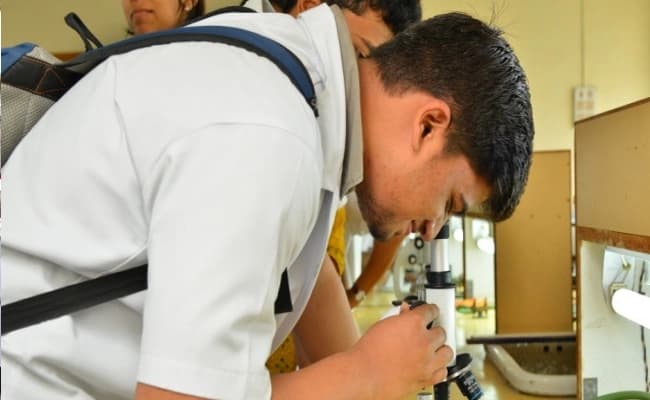 labs-1-labs-95
