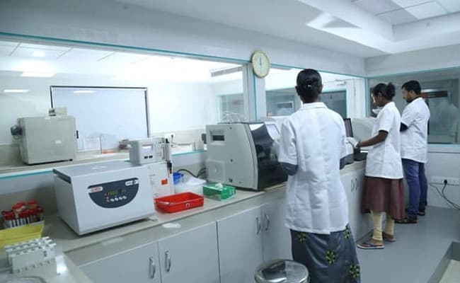 labs-1-labs-97