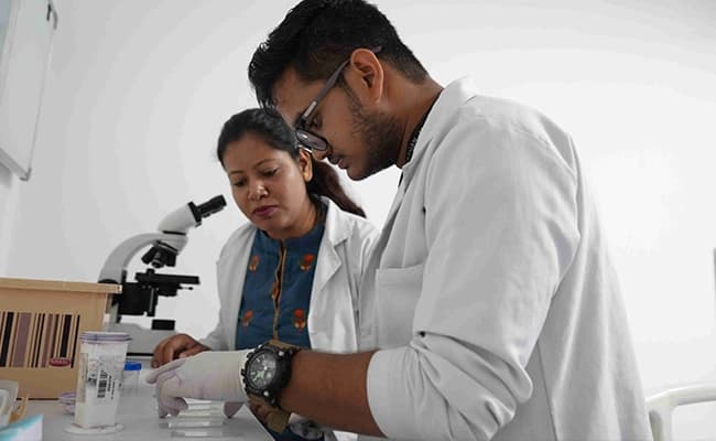 labs-2-labs-52