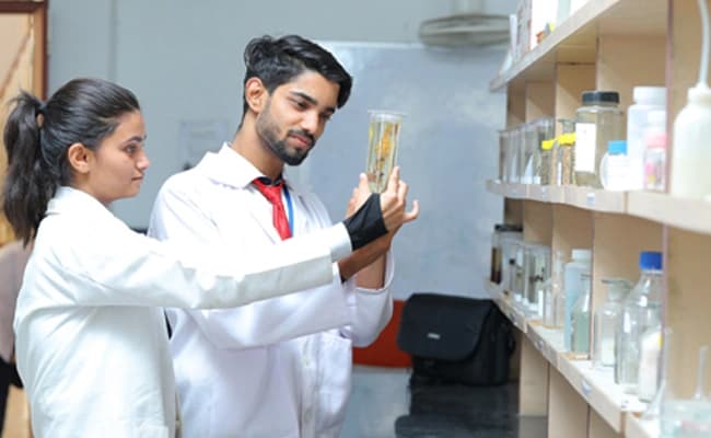 labs-2-labs-60