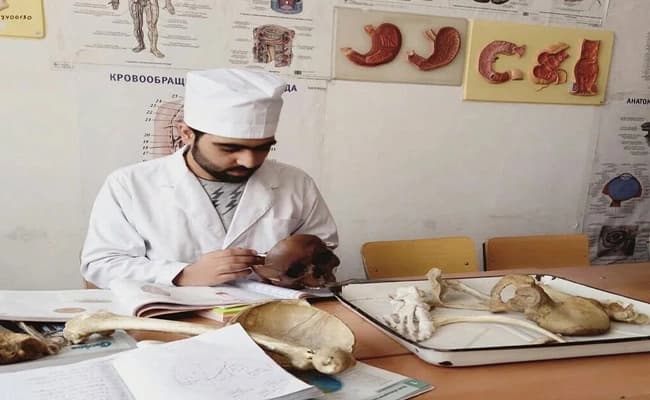 labs-2-labs-82