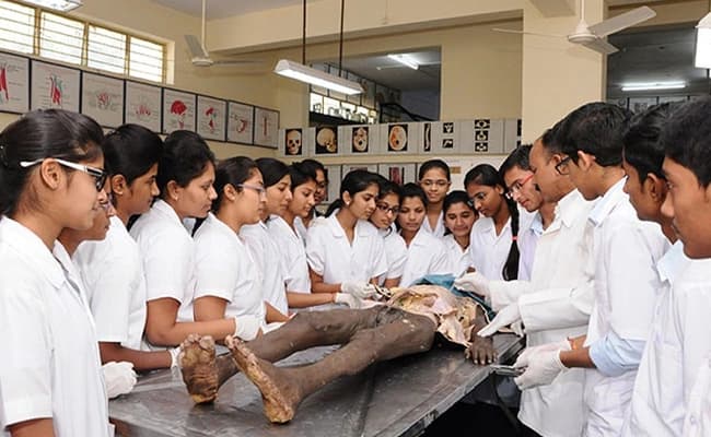 labs-2-labs-95