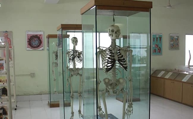 labs-3-labs-34