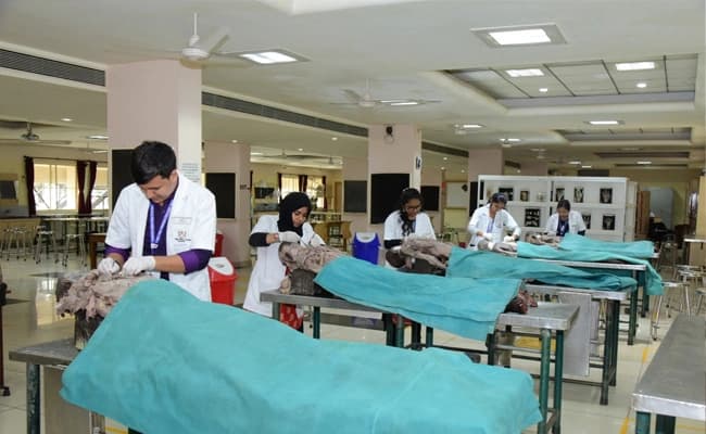 labs-3-labs-86