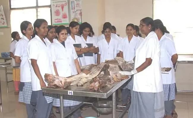 labs-4-labs-15