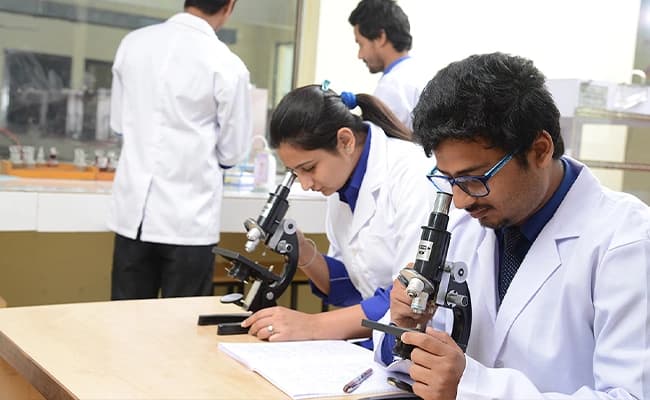 labs-4-labs-41