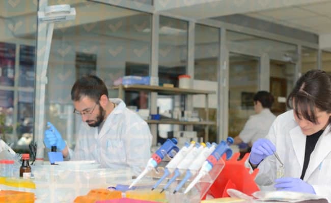 labs-4-labs-65