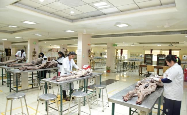 labs-4-labs-72