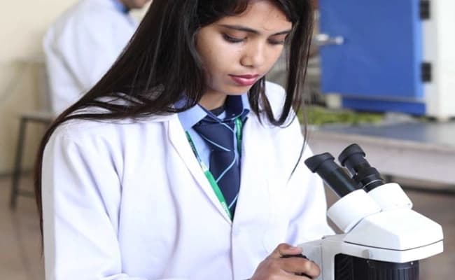 labs-5-labs-37