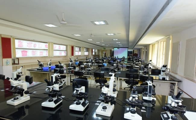 labs-5-labs-52