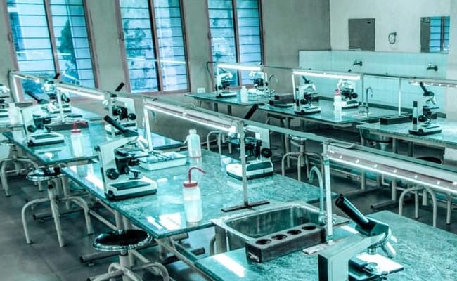 labs-5-labs-6