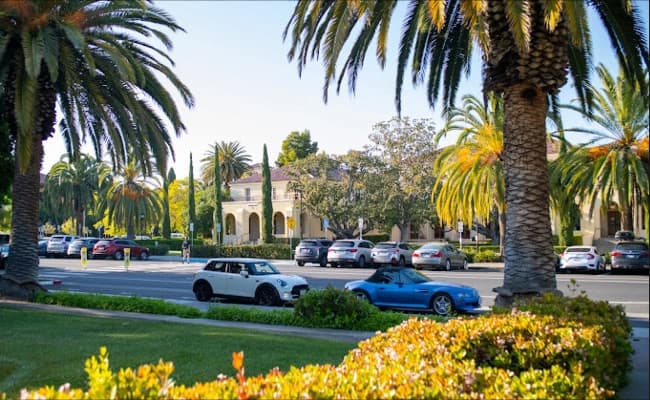 stanford-university-stanford-20-ground.webp
