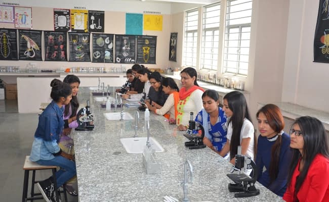 labs-1-labs-60