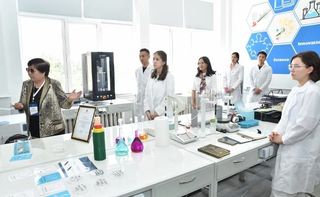 labs-2-labs-86