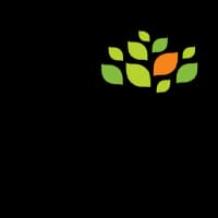 SOIL School of Business Design Logo