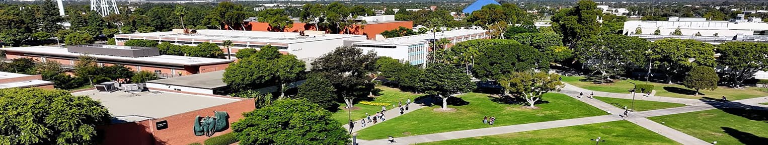 California State University