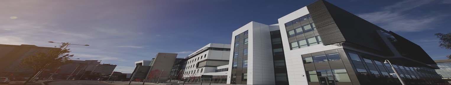 University of South Wales