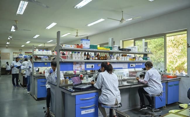 Labs 3.webp