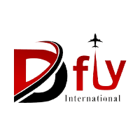 Dfly International Logo