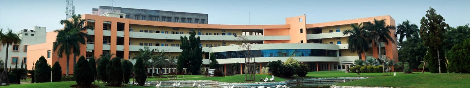 C. V. Raman Global University