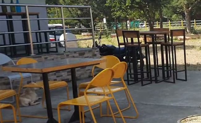 1-0004-layer-1-cafeteria-64