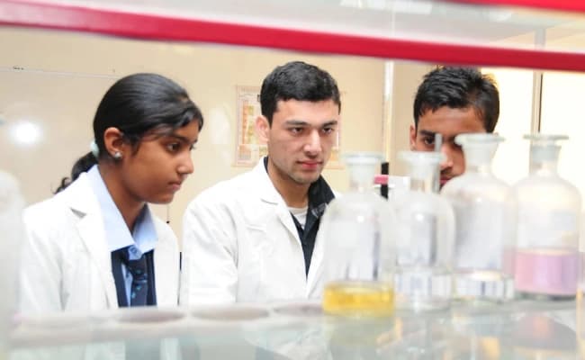labs-2-labs-99