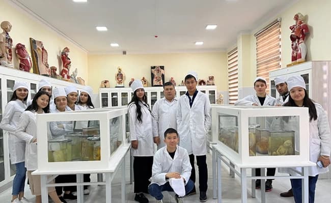 labs-2-labs-87