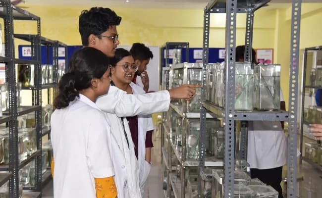 labs-4-labs-2