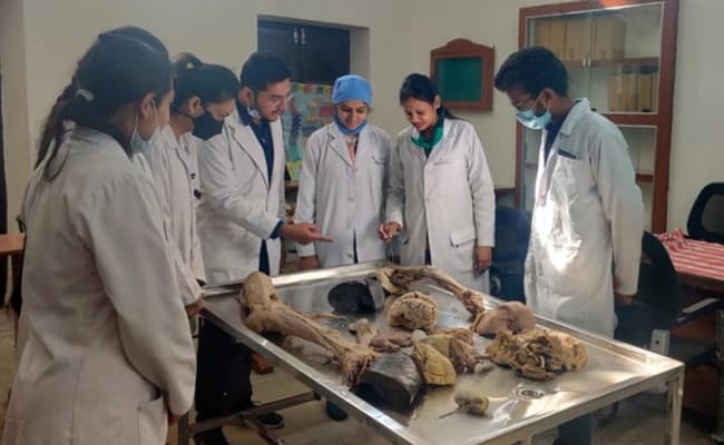lab2-labs-26