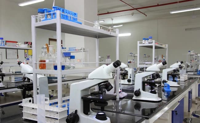 labs-5-labs-2