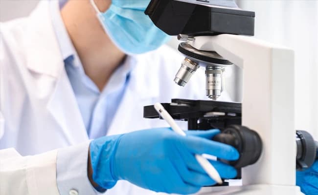 labs-3-labs-92