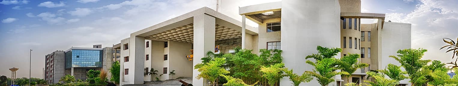 Indus University