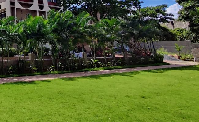 Regional College of Management Ground-19.webp
