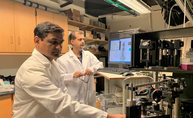 massachusetts-institute-of-technology-cambridge-labs-0003-layer-30-lab