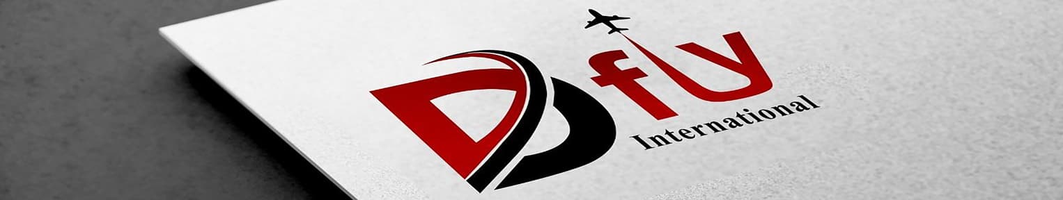 Dfly International