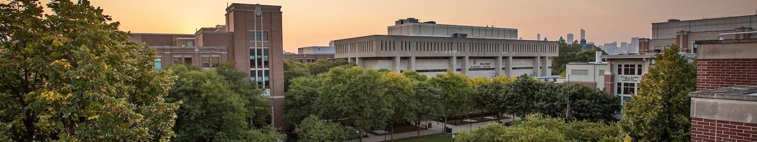 DePaul University