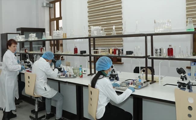 labs-1-labs-89
