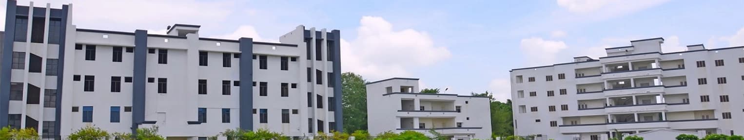 Shri Ram Murti Smarak International Business School