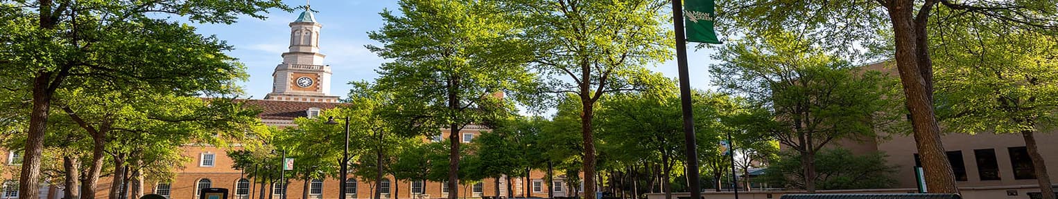 University of North Texas Denton