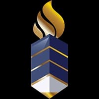 Shree L R Tiwari School of Business Management Logo