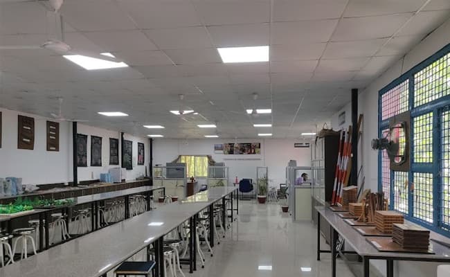 dolphin-pg-institute-of-biomedical-natural-sciences-2-0004-layer-1-classroom