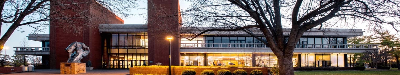 Southern Illinois University Edwardsville banner