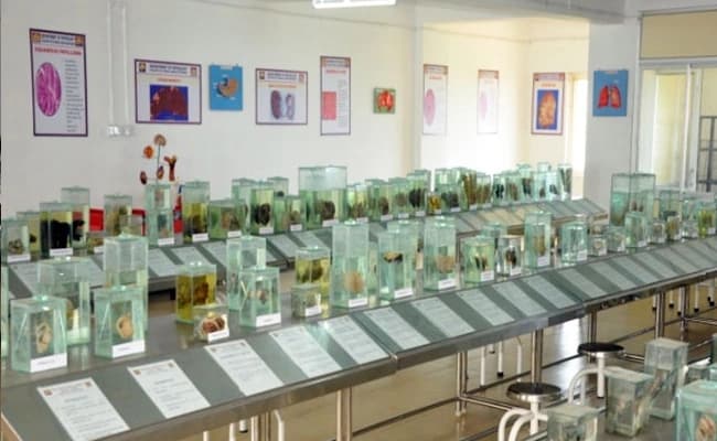 labs-4-labs-18